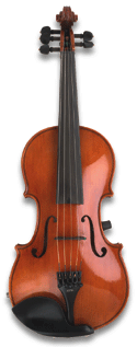 Zeta Acoustic Pro 5-String Violin