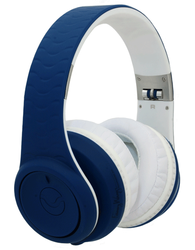 Fanny Wang 3000 Noise Cancelling Headphones