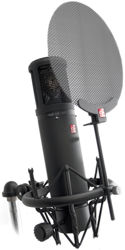 sE 2200a MKII Multi-Pattern Condenser Mic