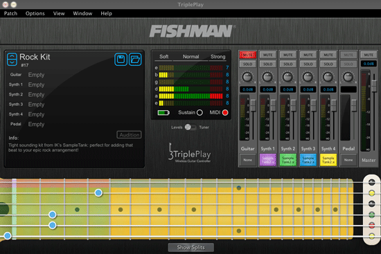 Fishman TriplePlay