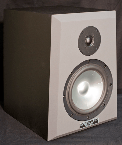 Ocean Way Audio Pro2A Monitors