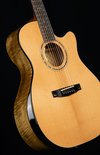 Cort Gold-Edge LE Acoustic-Electric