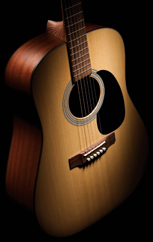 Martin 1 Series Acoustics