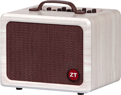 ZT Amplifiers Lunchbox Acoustic