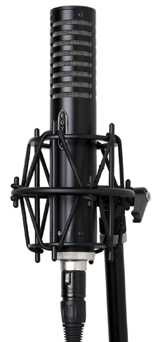 Royer R-101 Ribbon Studio Mic