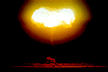 Doppler Bomb